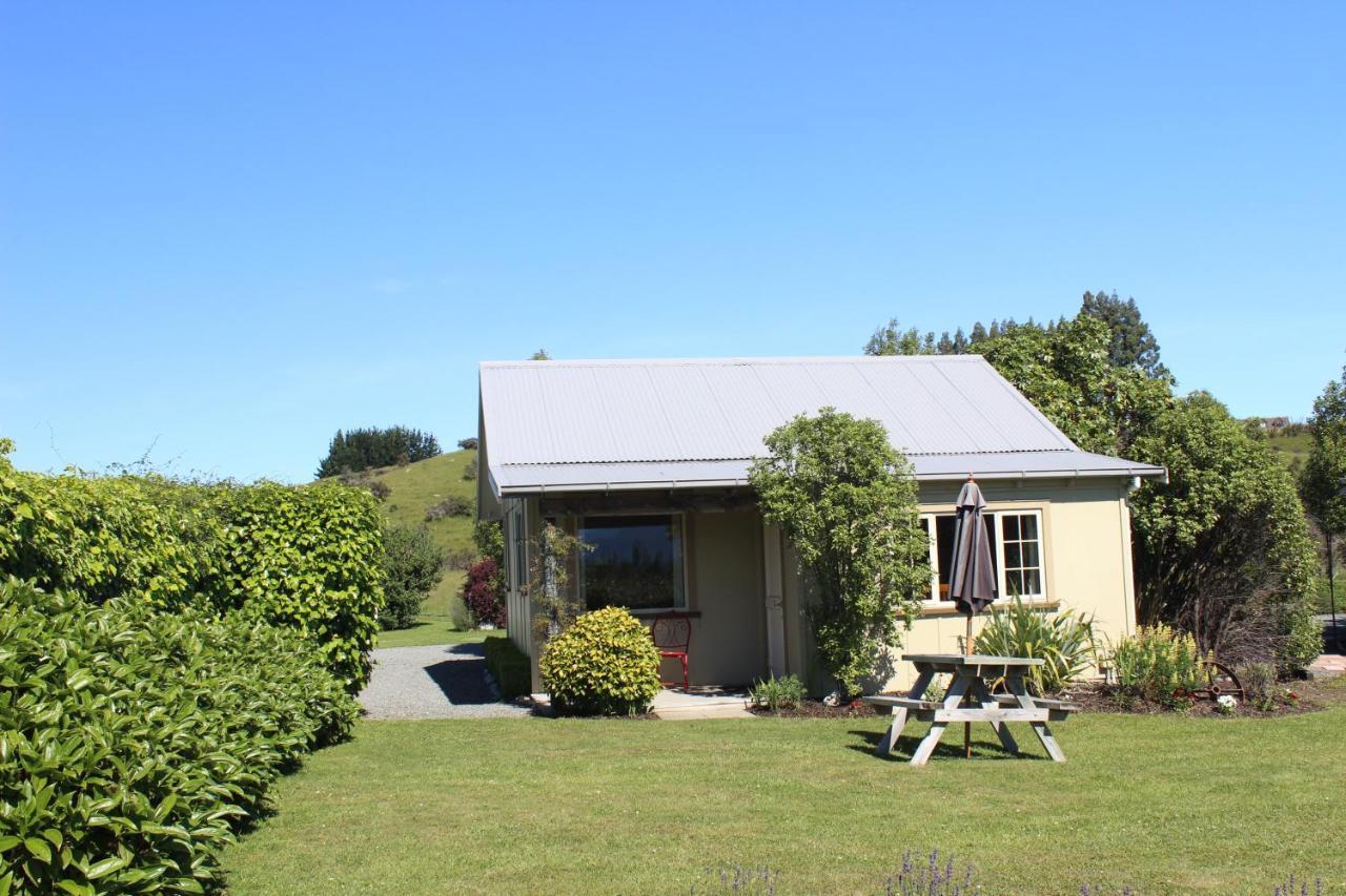 Blue Thistle Cottages Te Anau Bagian luar foto
