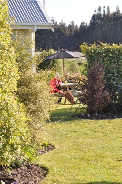 Blue Thistle Cottages Te Anau Bagian luar foto
